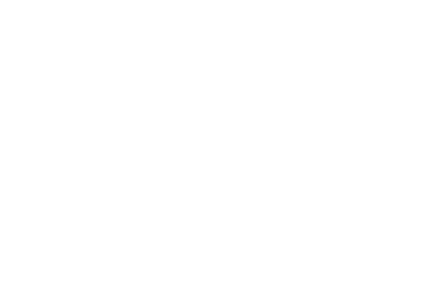Official Selection – Las Vegas International Film Screenwriting Festival 2025
